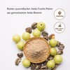 PureRaw Amla Pulver Bio Amalaki Beere Fruchtpulver (Vegan Ayurvedisch) Indische