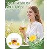 60 Teabags - Dandelion Leaf & Root Tea Bags, Natural
