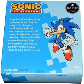 LootCrate Sonic & Rings Collectible~ Tetris Magnet Sheet~ Street Fighter Comic~ Galaga Pin