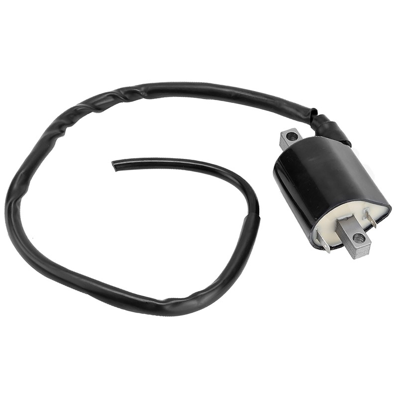 Large Displacement 2 Pins Ignition Coil for Yamaha Cart G2