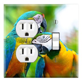 Graphics Wallplates - Exotic Pet Bird Macaw Parrots - Outlet Toggle Combo Wall Plate Cover