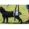 Mikki Dog, Puppy Helping Hands Dog Lifting Harness - Lift