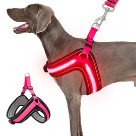 BiPawTi Dog Harness