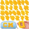 104 Pcs Chenille Letters Patches Iron on Large 3.2 H