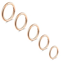 5 anillos de nariz de titanio G23 de 16 G/18 G/20 G con bisagras, segmento de clic, anillos de nariz para tabique de labios multicolor, aretes para dormir de cartílago de trago, 6 mm, 7 mm, 8 mm, 9 mm, 10 mm, anillos de nariz hipoalergénicos para mujeres