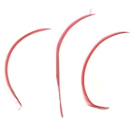 Gregory Crafts & Gifts Pink Biot Feathers x 3 - Coral Pink Millinery hat, fascinator, wedding decoration - long feathers