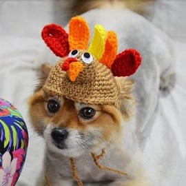 Thanksgiving Cats Costume Cat Turkey Drumstick Hat for Small Dog Kitten Thanksgiving Party Costume Cosplay Accessory Headwear