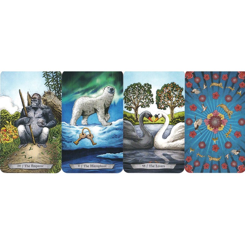Animal Totem Tarot Animal Totem Tarot (Tarot Divination Manual Included)
