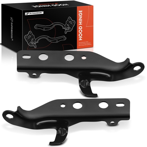 A-Premium Front Driver and Passenger Hood Hinges Compatible with Buick
