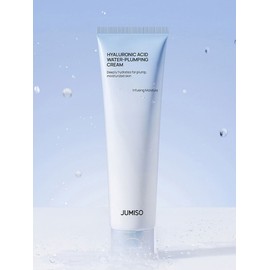 Hyaluronic Acid Water Plumping Moisture Cream 100ml / 히알루론산 워터 플럼핑 수분 크림 100ml