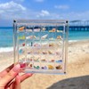 Dekori Shell Display Box Transparent Magnetic Mini Shell Box Waterproof