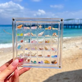 Dekori Shell Display Box Transparent Magnetic Mini Shell Box Waterproof Dustproof Acrylic Shell Storage Case Display Box Small Containers for Snails, Starfish, Nails, Beads, Small Items Magnetic Case