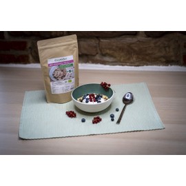 Histaminikus Früchtemüsli, zuckerfreies Bio Müsli ohne Zusatzstoffe (375g), histaminarm, glutenfrei, vegan und ohne Nüsse, naturbelassen und geeignet bei Histaminintoleranz