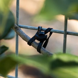 Heirloom Roses LoopLock Plant Ties, Soft Garden Tools for Climbing Plants Vineyards and Rose Bushes, Long Lasting Rubber for Outdoor Plants