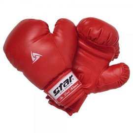 Star Sports Boxing Gloves / 스타스포츠 복싱장갑