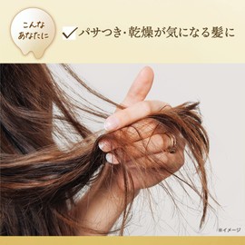 LUX Super Rich Shine Moisturizing Treatment, Moisturizing, Rinsing Treatment, Main Unit, 10.6 oz (300 g) + Bonus Included