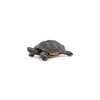 PAPO - Realistic Florida Turtle Figure - Ages 3+ -