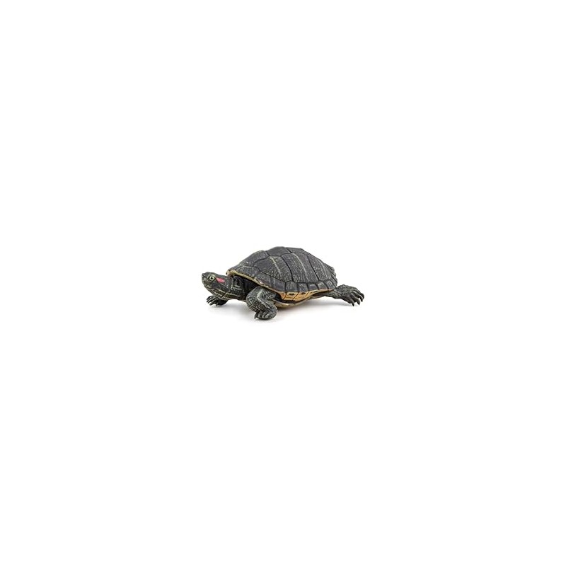 PAPO - Realistic Florida Turtle Figure - Ages 3+ -