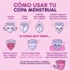 15 Copas Menstruales Aneer Certificada Mayoreo Instructivo