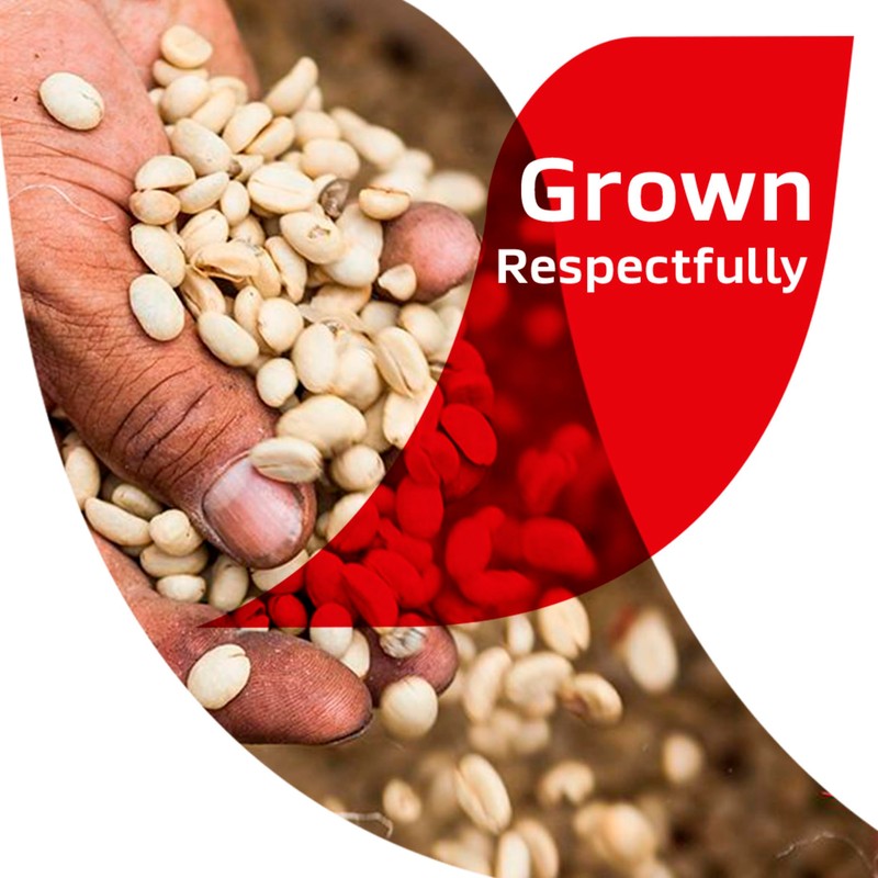 NESCAFE Cafe de Olla, Cinnamon Flavored Instant Coffee, 6.7 oz.