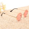Pro Acme Retro Small Round Polarised Sunglasses for Men Women,
