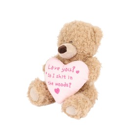 Cheeky Plush Teddy Bear 20cm – Hilarious Valentine's or B'day Gift! Soft Cuddly Bear Holding Heart or Star with Rude Sassy Message – Funny Gift for Boyfriend Girlfriend or Bestie (Love you?)