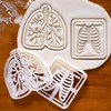 Set of 2 Respiratory Themed Cookie Cutters (Designs: Lungs and