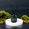 Bellevue Reed Diffuser, 6 fl oz Glass Filled Diffuser, Highly