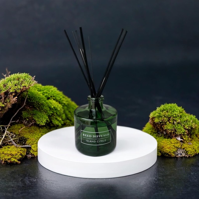 Bellevue Reed Diffuser, 6 fl oz Glass Filled Diffuser, Highly