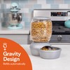 Petmate Replendish Feeder with Automatic Cat and Dog Feeder Grey,