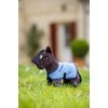 LeMieux Tiny Pony Freya - Soft Brown Coat - Pocket-Friendly