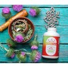 Eclectic Institute Raw Freeze-Dried Non-GMO Milk Thistle | with silymarin