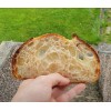 Great Grandmas EASY Sourdough Starter Heritage San Francisco - Live