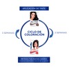 Miss Clairol Tinte Retoque de Raíz Permanente 91 Rubio Cenizo
