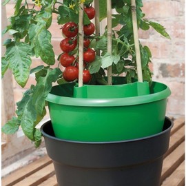 Garland Green Plant Halos Watering Pot Support Crop Beans Tomato Pepper Cane