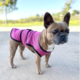 DOGZSTUFF Dog Cooling Vest. Lightweight Jacket with Evaporative Cool Microfiber Technology, UV Protection Shirt for Beach, Sizing for Small, Medium and Large Dogs (M, Rose Pink)