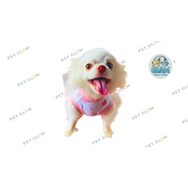 PET Glam Recovery Suit for Dogs Cats, After Surgery, Alternative E-Collar Dog CAT. PET Shirt Breathable Abdominal Wounds, Neuter Cotton, Prevent Licking Onesie Surgical (Fruit, S)
