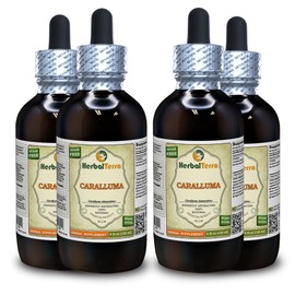 Caralluma, Bengal Quince (Caralluma Adscendens) Dried Root Liquid Extract (Brand Name: HerbalTerra, Proudly Made in USA) 4x4 oz