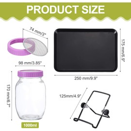 QUARKZMAN Juego de 2 Vasos de Brote, Cristal germinado con Tapas de Acero Inoxidable + bandejas de Cultivo, para brotes, berros y microgreens – Incluye guía y Soporte – Violeta