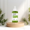 Sante Artemisia Sensitive Skin Soothing Aca Ampoule 100ml / 상떼