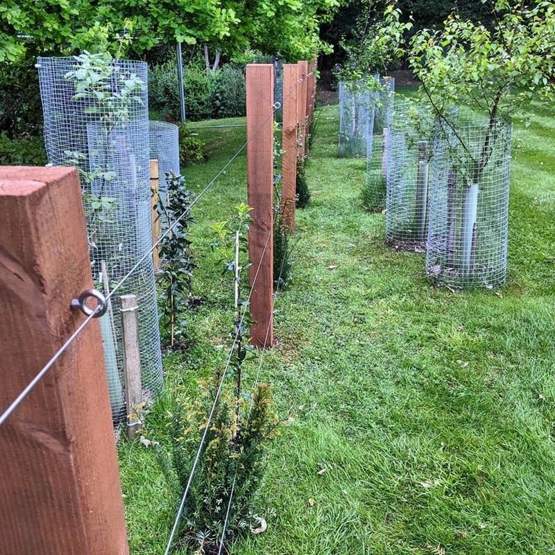 10pcs M6 Stainless steel eye bolt A4 316 marine grade