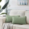 Fancy Homi 2 Pack Sage Green Lumbar Decorative Throw Pillow