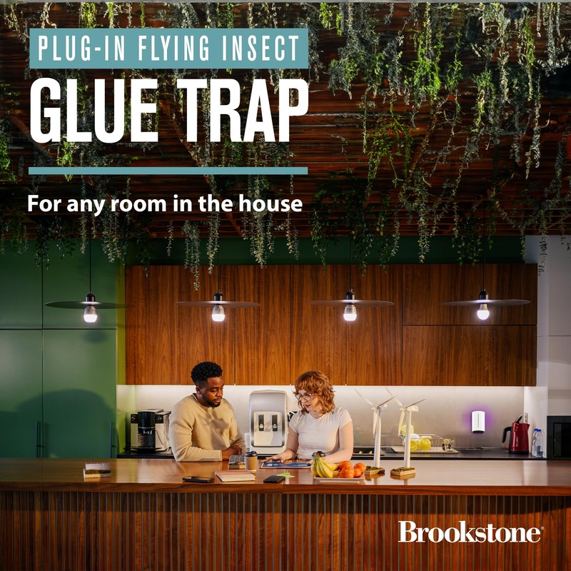 Plug-in Flying Insect Glue Trap - LED and UV Attractant