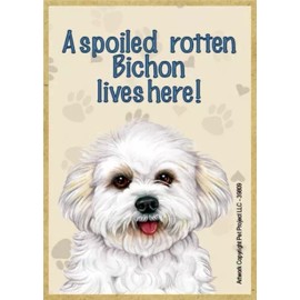 A spoiled rotten Bichon lives here! Happy Wood Fridge Magnet 2.5 x 3.5 Gift New