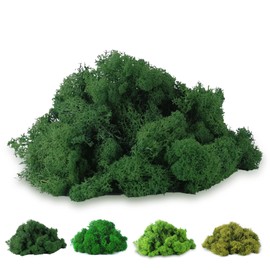 Celestia Iceland Moss for Crafts, Artificial Moss, Artificial Moss for Decorating, Artificial Moss for Crafts, Moss Picture Model Making Art Moss Nature Preserved for Decoration, Moss Picture Crafts