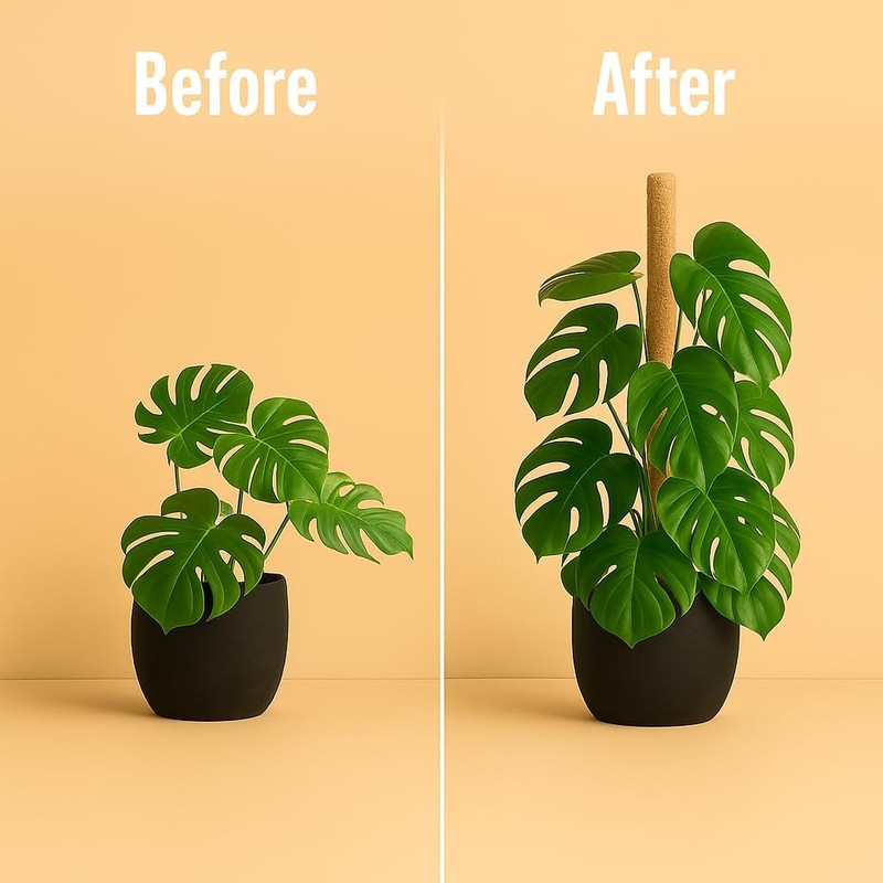 Craft911 Moss Pole Monstera Plant Support – 48” Bendable Moss