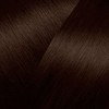 Carmen Ritual No. 6.60 Eugène Perma 60 Hair Colour without