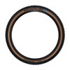 Schwalbe Nobby Nic Evolution Super Race Addix Speedgrip TLE Folding