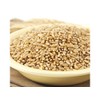Wheat Montana Prairie Gold Hard Wheat Berries, 50-Pound
