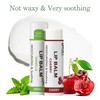 Dmsky Fruit Lip Balm Bulk - Hydrating for Men, Women,